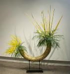 11 - Jane Metcalfe.jpg 4.3K